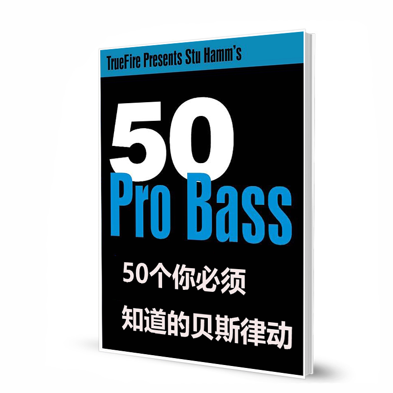 50个你必须知道的贝斯律动 带视频 50 Pro Bass Grooves You MUST Know Stu Hamm's